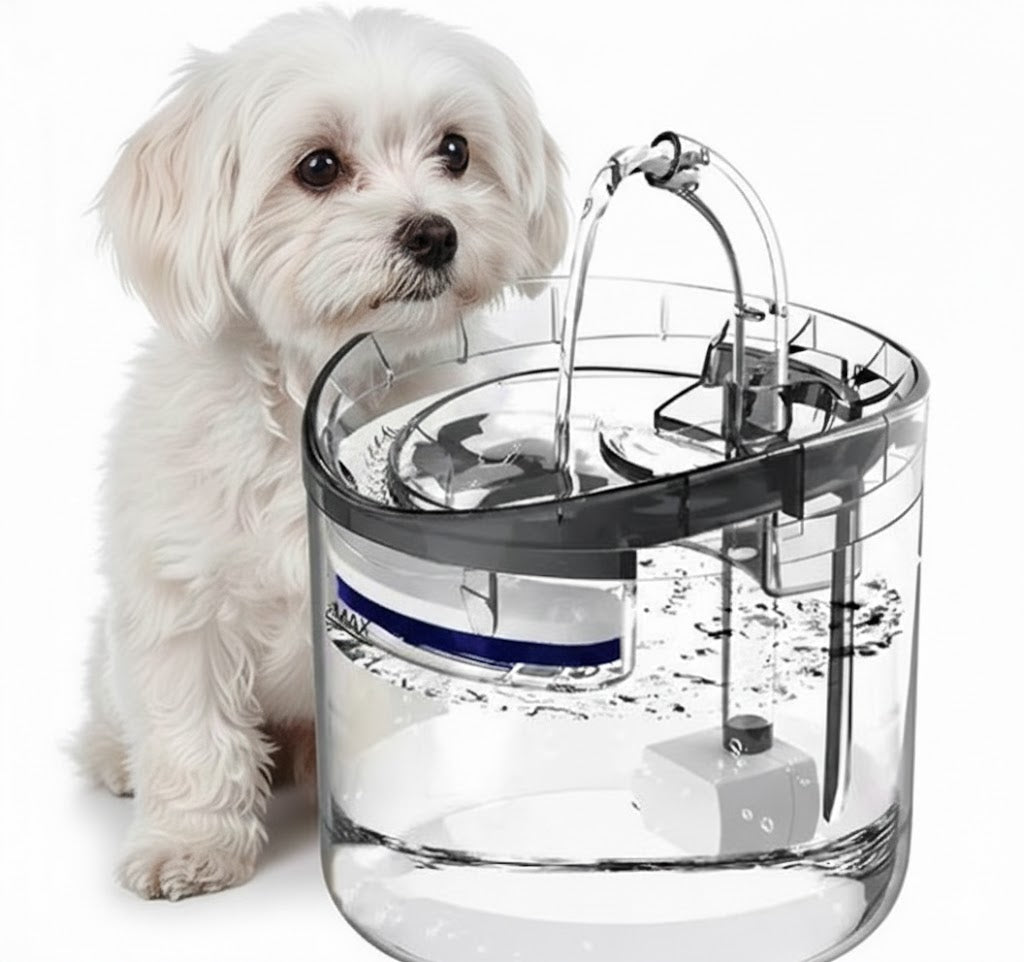 Fuente Inteligente 2L: Hidratación Premium con Sensor para Perros y Gatos🚨 ¡STOCK LIMITADO!🔥